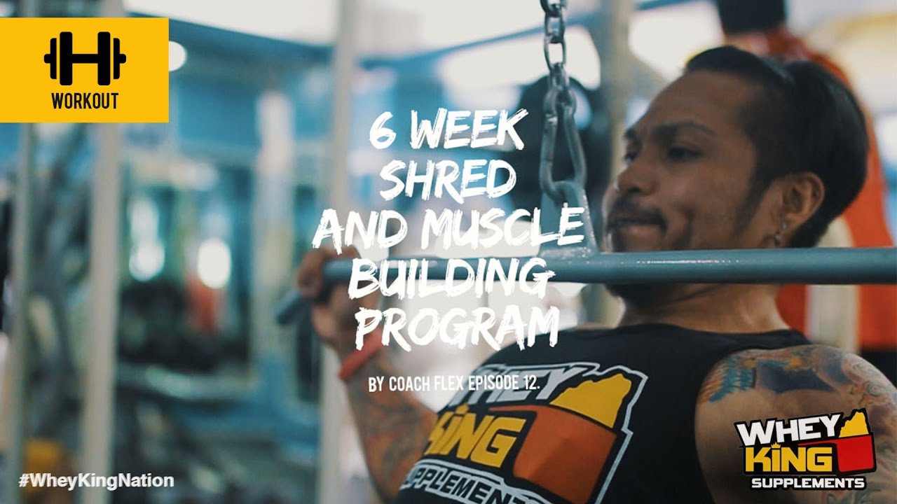 6 week Shred & Muscle Building Program | Coach Flex | Day.12 | Whey King Supplements Philippines