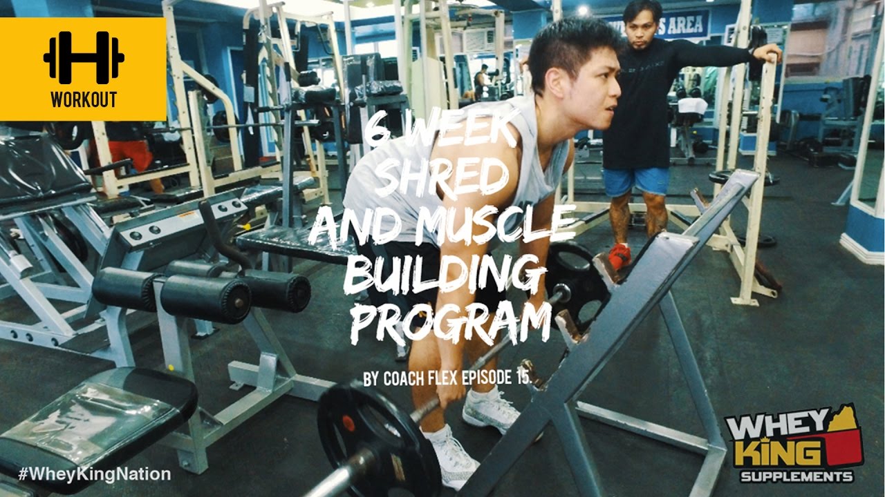 6 week Shred & Muscle Building Program | Coach flex | Day 15. | Whey King Supplements Philippines
