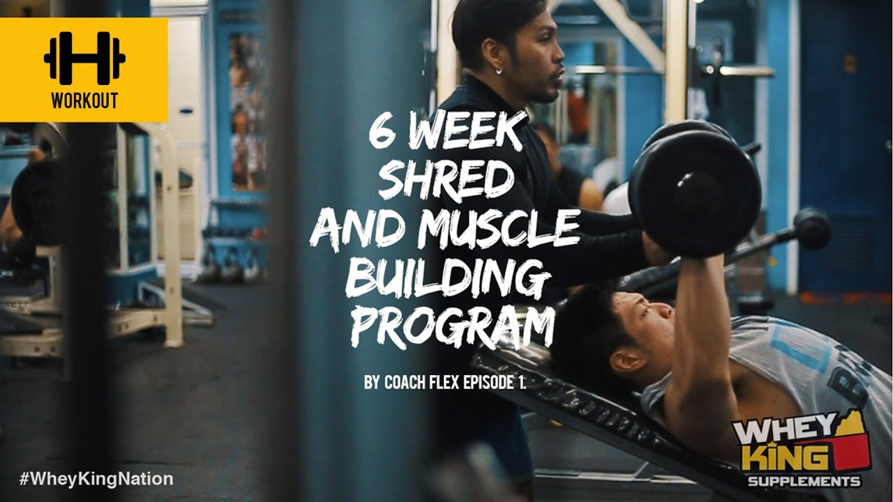 6 week Shred & Muscle Building Program | Coach Flex | Day.1 | Whey King Supplements Philippines