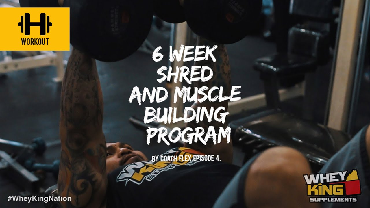 6 week Shred & Muscle Building Program | Coach Flex | Day.4 | Whey King Supplements Philippines